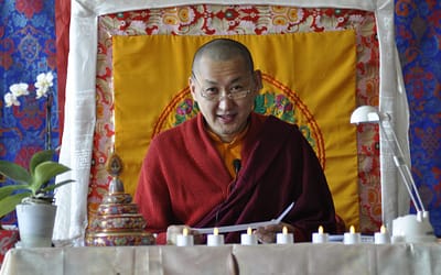 Welche Kriterien es vorm Kauf die Patrul rinpoche zu beachten gilt!