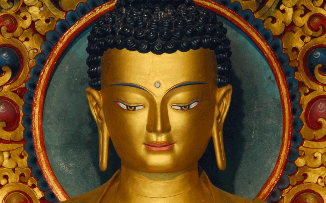 Public talk: Buddhism in a Nutshell / Dharma City / 2 Oct and 6 Nov 22