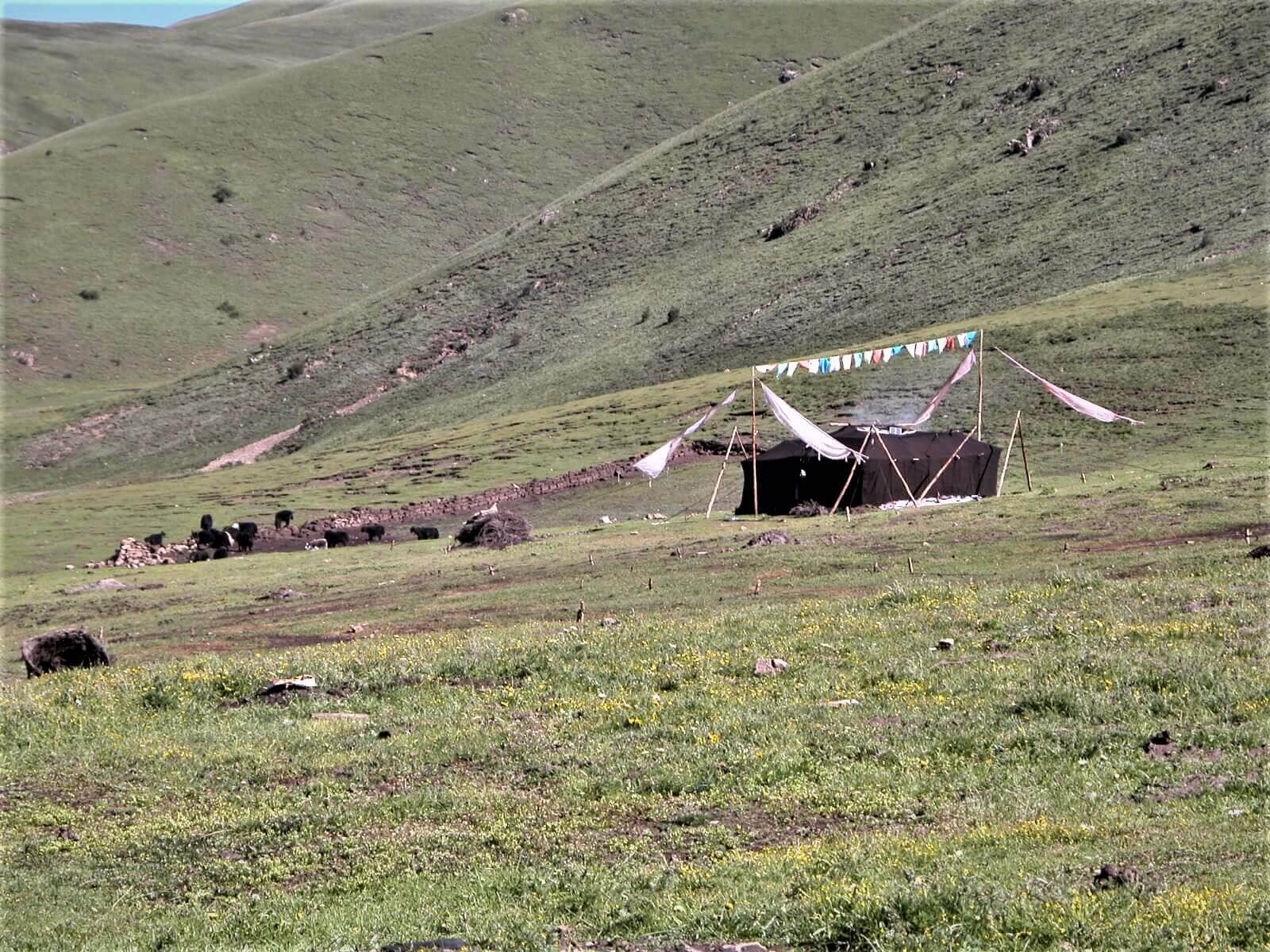 Dzogchen nomades
