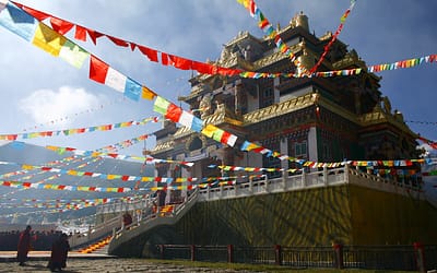 La vision de Patrul Rinpoche de l’institut Zangdok Palri